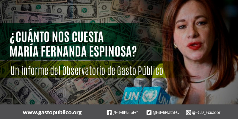 ¿Cuánto nos cuesta María Fernanda Espinosa?
